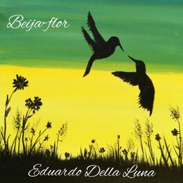 Album cover of Beija-Flor