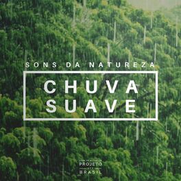 Pingos de Chuva Caindo no Chão - Album by Sons da Natureza Projeto ECO  Brasil