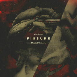 Album cover of Fissure