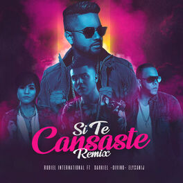 Album cover of Si Te Cansaste (Remix)