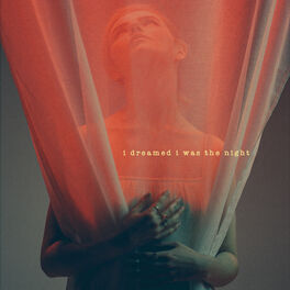 Album cover of i dreamed i was the night EP