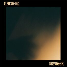 Album cover of Skygger