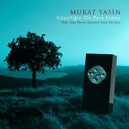 Album cover of Güzelliğin On Para Etmez (feat. Aşık Veysel)