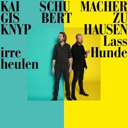 Album cover of Lass irre Hunde heulen