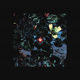Album cover of Saturated Lotus