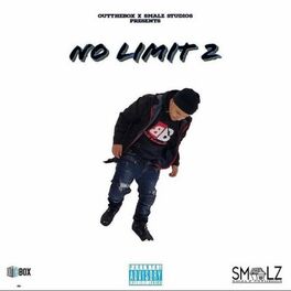 Album cover of No Limit 2