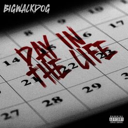 Album cover of Day in the Life
