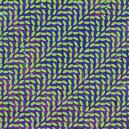 Album cover of Merriweather Post Pavilion