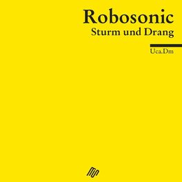 Album cover of Sturm und Drang
