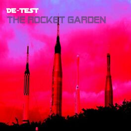 Album cover of The Rocket Garden