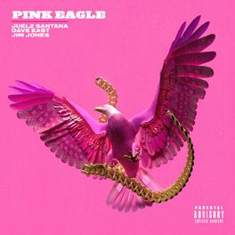 Album cover of Pink Eagle (feat. Dave East, Jim Jones)