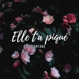 Album picture of Elle t'a piqué