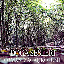 Album cover of Ağaç & Orman Kokusu
