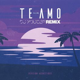 Album cover of Te Amo (DJ Youcef Remix – Version Acoustique)