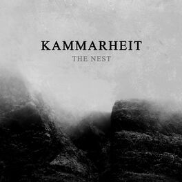 Album cover of The Nest