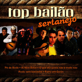 Album cover of Top Bailao Sertanejo