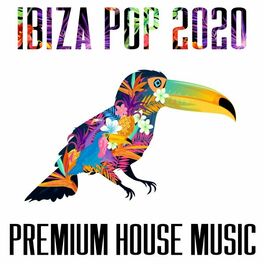 Album cover of Ibiza Pop 2020 - Premium House Music