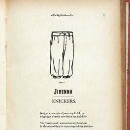 Album cover of Knickers