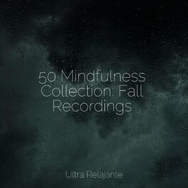 Album cover of 50 Mindfulness Collection: Fall Recordings