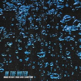Album cover of In The Water
