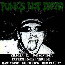 Album cover of Punk's Not Dread