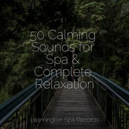Album cover of 50 Calming Sounds for Spa & Complete Relaxation