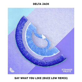 Album cover of Say What You Like (Buzz Low Remix)