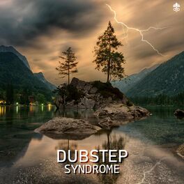 Album cover of Dubstep Syndrome