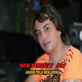 Album cover of Asker Yolu Beklerim