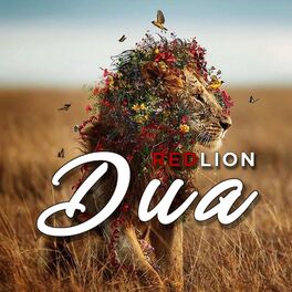 Album cover of DUA