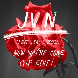 Album cover of now you're gone (VIP Edit)