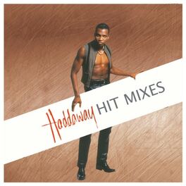 Album cover of The Hit Mixes