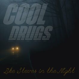 Album cover of Like Steves in the Night