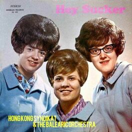 Album cover of Hey Sucker