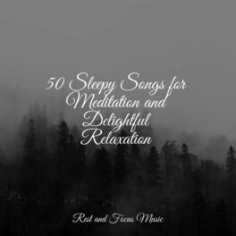 Album cover of 50 Sleepy Songs for Meditation and Delightful Relaxation