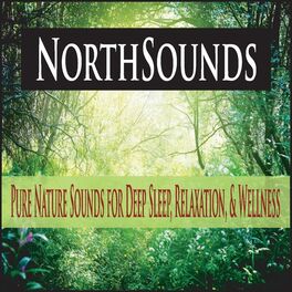 Album cover of Northsounds: Pure Nature Sounds for Deep Sleep, Relaxation, & Wellness