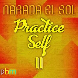 Album cover of Practice Self II