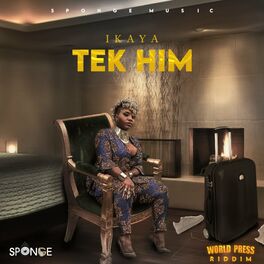 Album cover of Tek Him