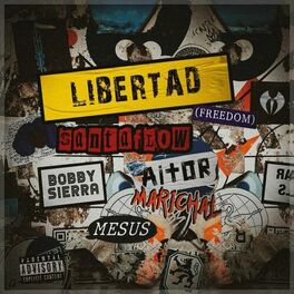 Album cover of Libertad