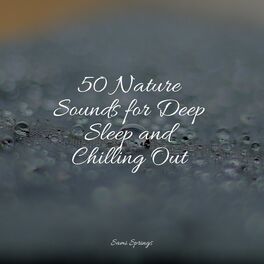 Album cover of 50 Nature Sounds for Deep Sleep and Chilling Out