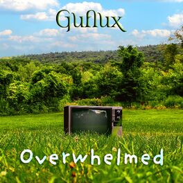 Album cover of Overwhelmed
