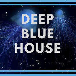 Album cover of Deep Blue House