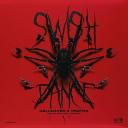 Album cover of Swish Dance