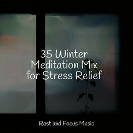 Album cover of 35 Winter Meditation Mix for Stress Relief