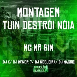 Album cover of Montagem Tuin Destrói Nóia