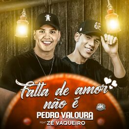 Album cover of Falta de Amor Não É