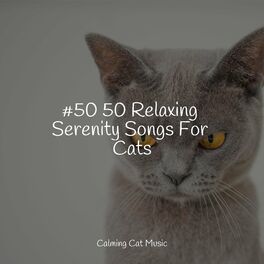 Album cover of #50 50 Relaxing Serenity Songs For Cats