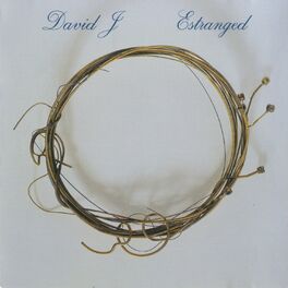 Album cover of Estranged