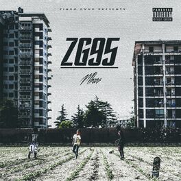 Album cover of Zg95