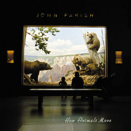 Album cover of How Animals Move